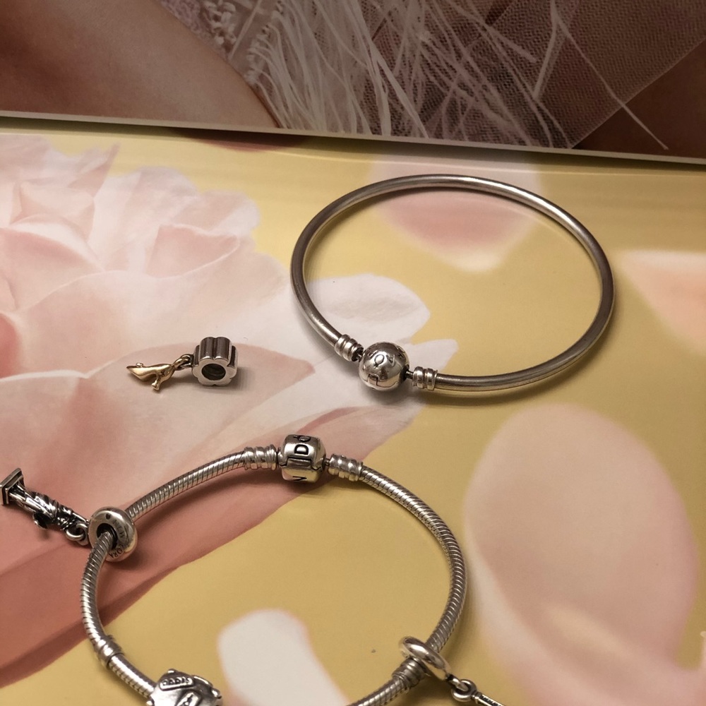 Pandora Bracelet / Charm Bundle - image 8